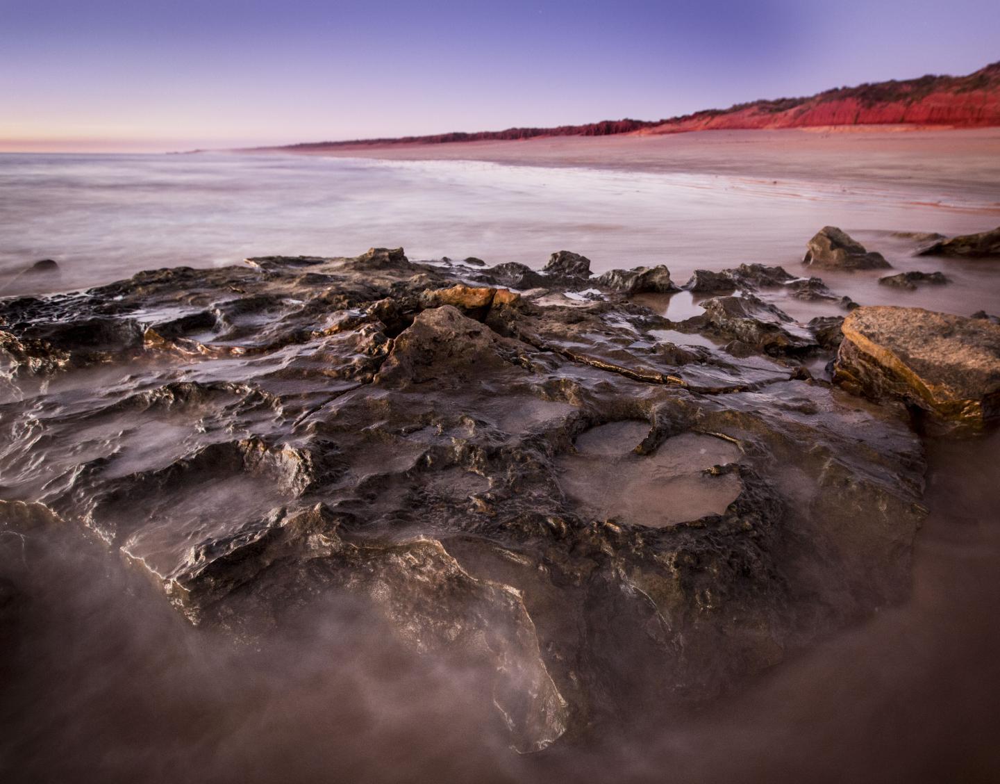 Dinosaur tracks in Walmadany. (Damian Kelly)